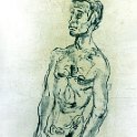 Male Nude 8